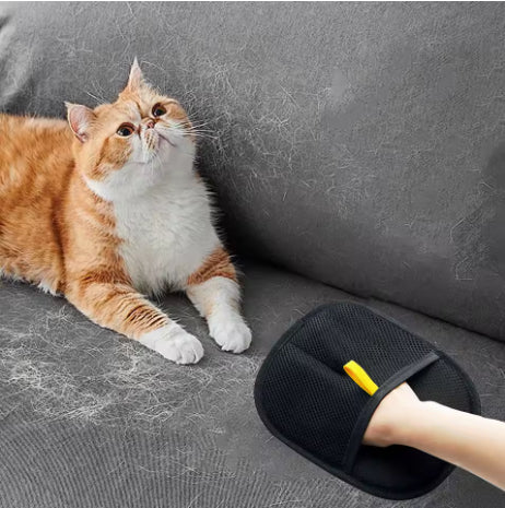 Fur Remover Glove (Private Listing U1175793) - My Store