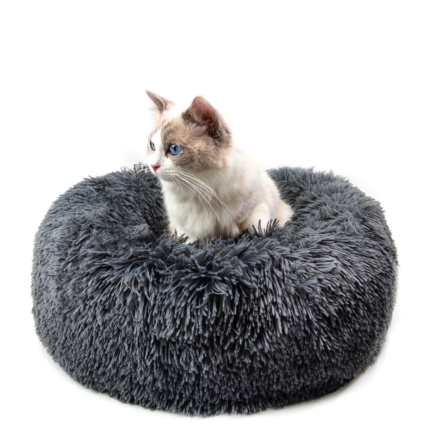 Round Plush Dog Bed for Small Dogs and Puppies - My Store