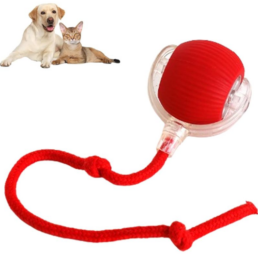 Smart Rolling Pet Ball - My Store